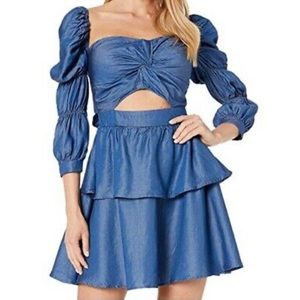 Bebe Dress Chambray Cupcake Cutout